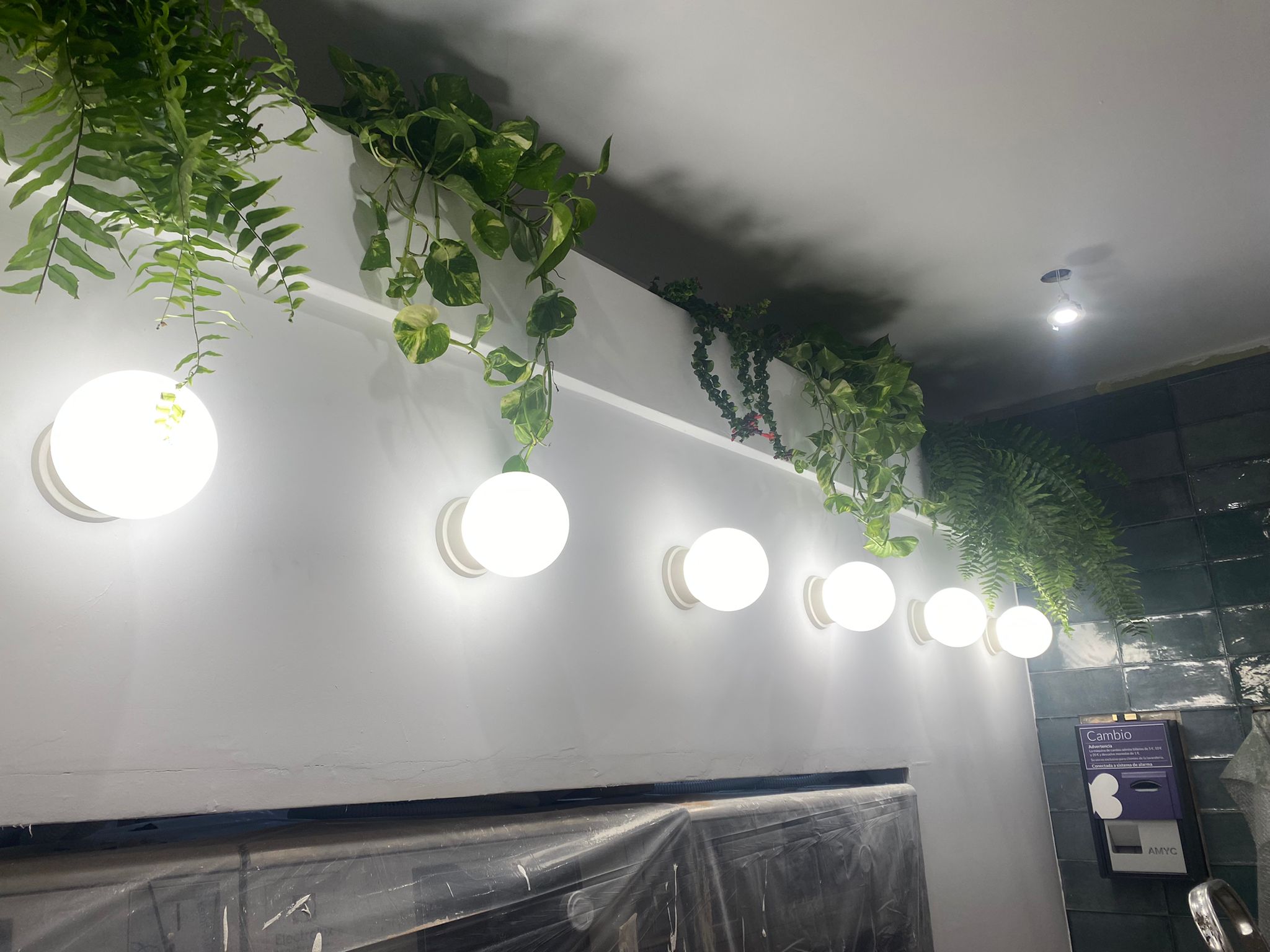 Diseño y tramitación de apertura de lavandería autoservicio en Lamas de Prado, Lugo