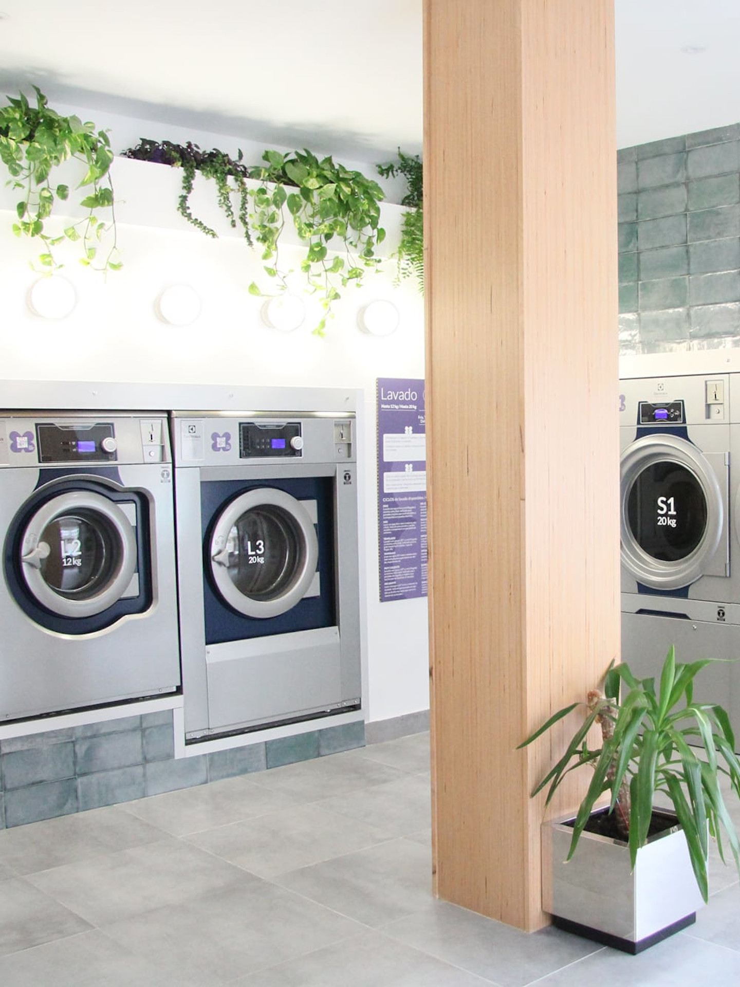 Diseño y tramitación de apertura de lavandería autoservicio en Lamas de Prado, Lugo